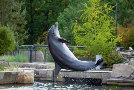 Andreas Wedel Pferdefotografie und Film