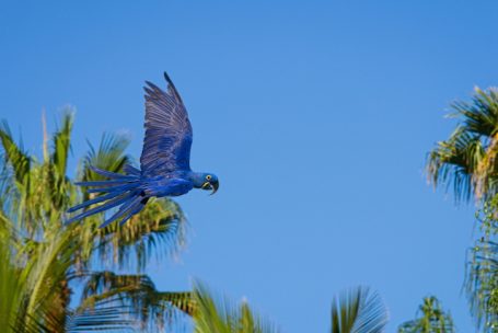 Andreas Wedel Pferdefotografie und Film
