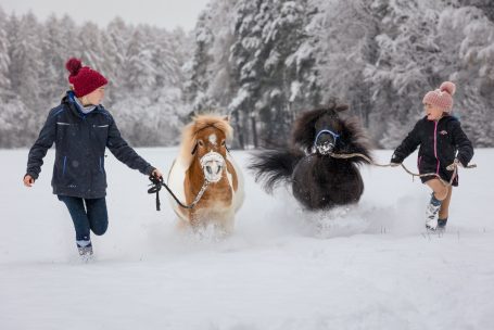 Andreas Wedel Pferdefotografie und Film