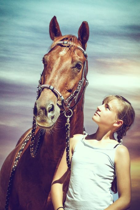 Andreas Wedel Pferdefotografie und Film