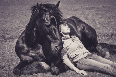 Andreas Wedel Tierfotografie + Film, Andreas Wedel Pferdefotografie + Film